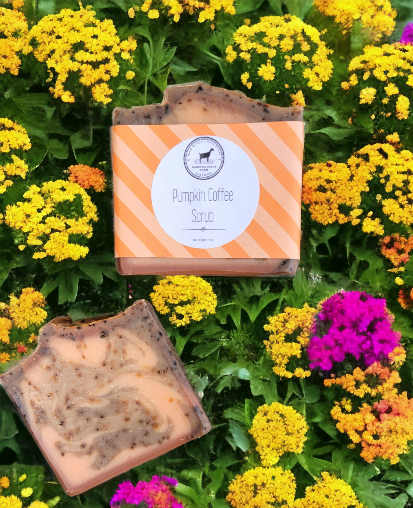 Pumpkin Coffee Scrub