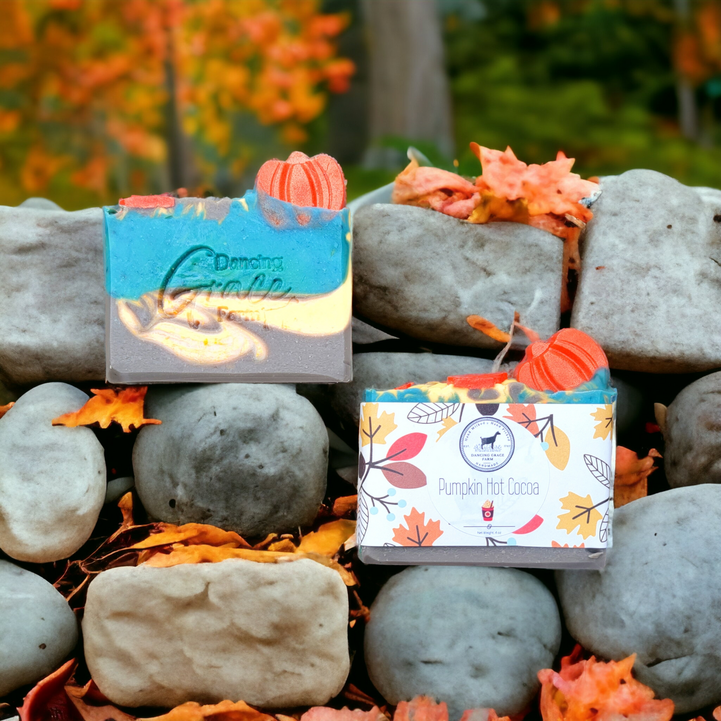 Pumpkin Hot Cocoa